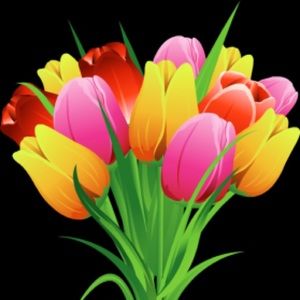 Meet your Posher, Cathy